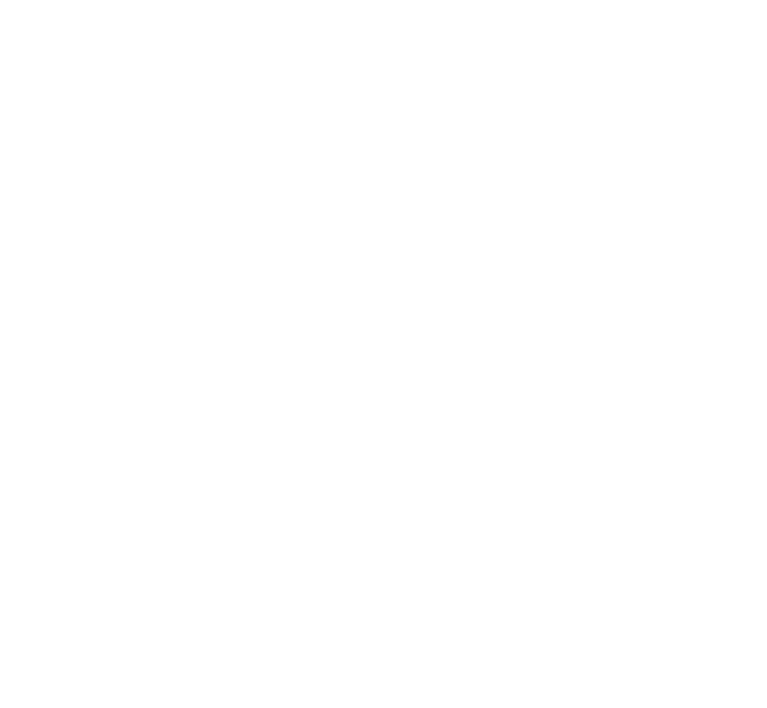 New Munich Meats - logo